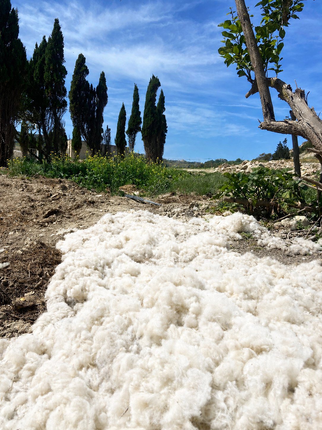 The Maltese countryside around Ta' Karlu Farm
